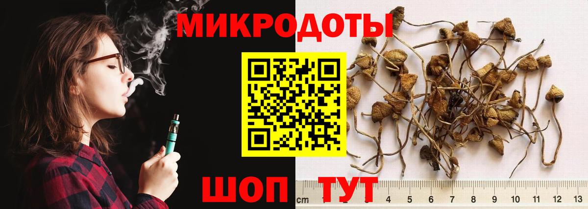 Галлюциногенные грибы Psilocybine cubensis  Вход с VPN  Сызрань 